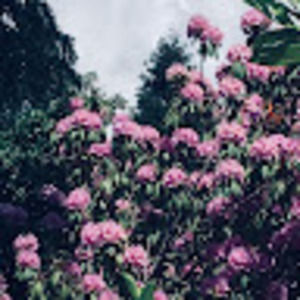 Meet your Posher, Isabelle